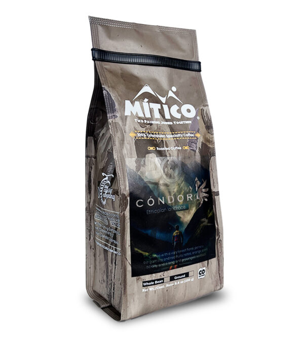 Mítico Condor